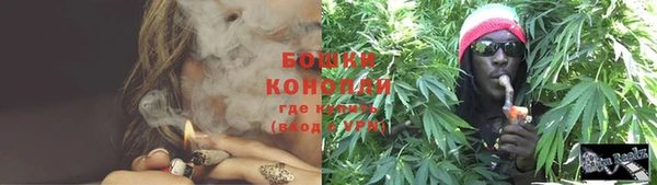 сатива Ступино
