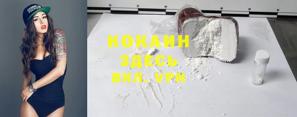 прущие грибы Суровикино