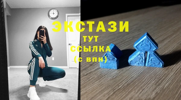 прущие грибы Суровикино