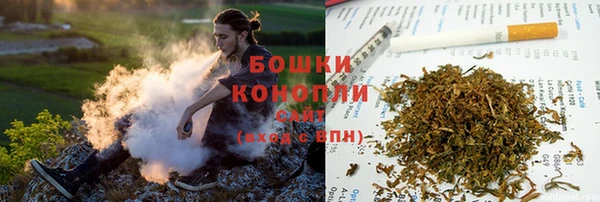 сатива Ступино