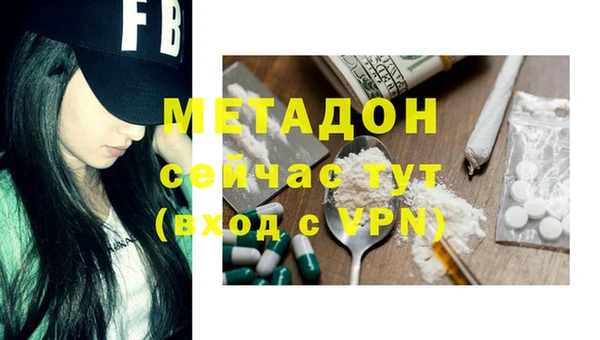 прущие грибы Суровикино