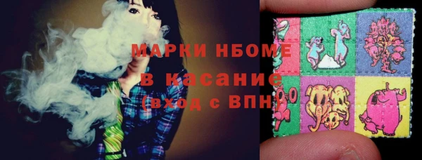прущие грибы Суровикино