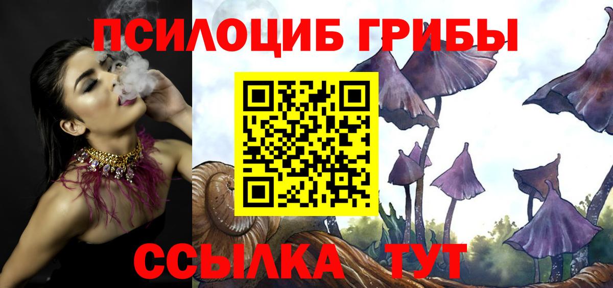 Симферополь  Галлюциногенные грибы прущие грибы  Вход с VPN 