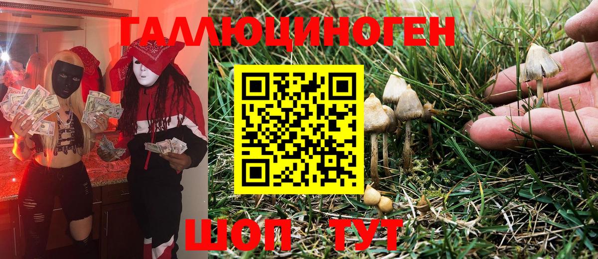 Псилоцибиновые грибы GOLDEN TEACHER  Симферополь 